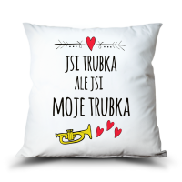 Polštář Jsi moje trubka